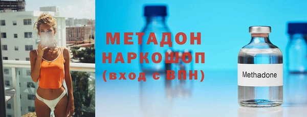 гидра Ельня
