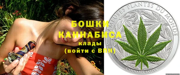 ПСИЛОЦИБИНОВЫЕ ГРИБЫ Богданович