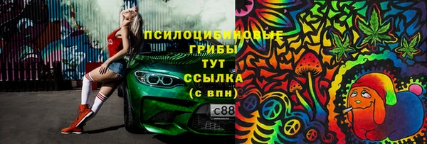 PSILOCYBIN Богородск