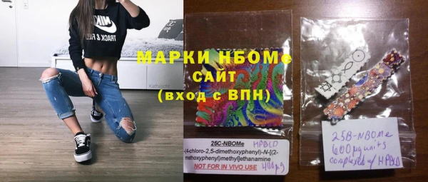 гидра Ельня