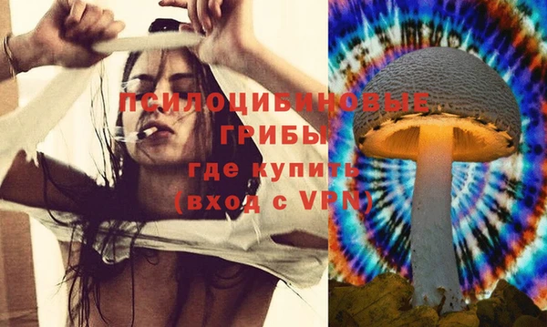 ПСИЛОЦИБИНОВЫЕ ГРИБЫ Богданович