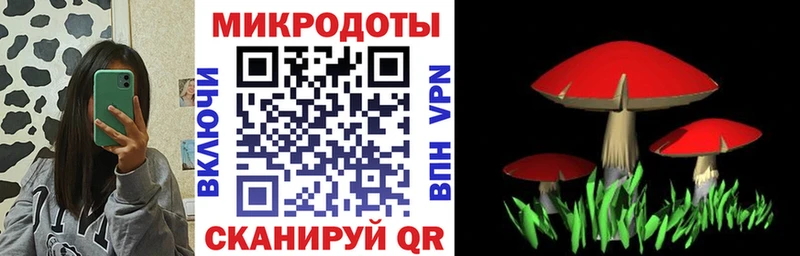 Галлюциногенные грибы MAGIC MUSHROOMS  магазин продажи   Гатчина 