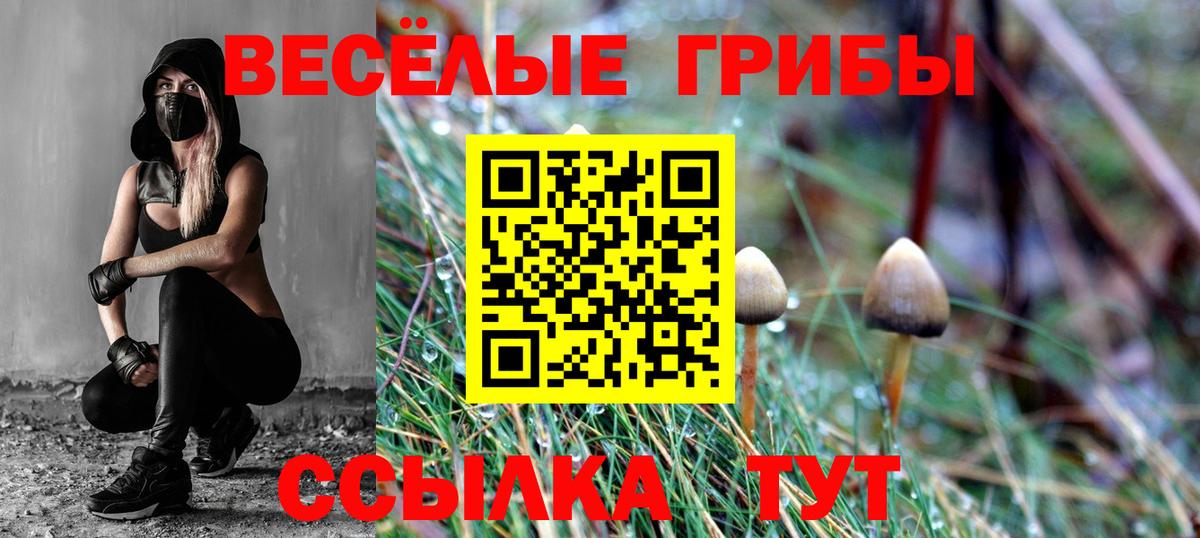 купить наркотик  Галлюциногенные грибы мицелий  Вход с VPN  Гатчина 